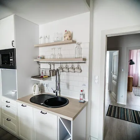아파트 Apartament Ceglany Komin 오스트로다