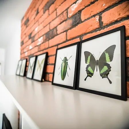 Apartament Ceglany Komin 오스트로다