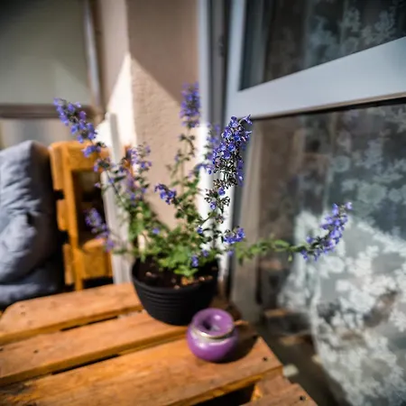 아파트 Apartament Ceglany Komin *