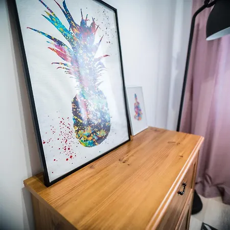 아파트 Apartament Ceglany Komin 오스트로다